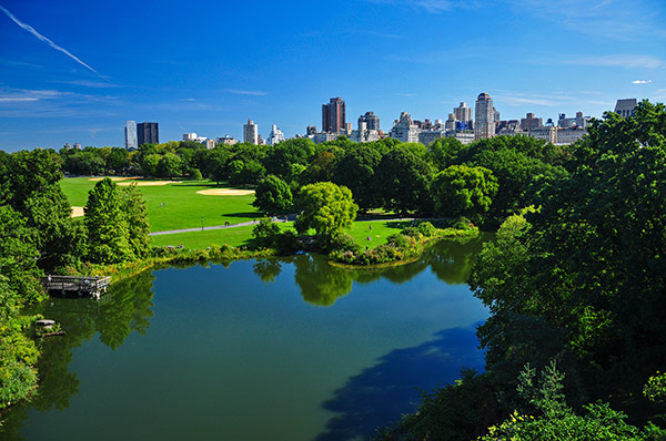 生態(tài)環(huán)境部關(guān)于推進(jìn)生態(tài)環(huán)境監(jiān)測(cè)體系與監(jiān)測(cè)能